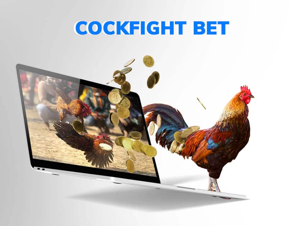 VScan on Cockfight betting